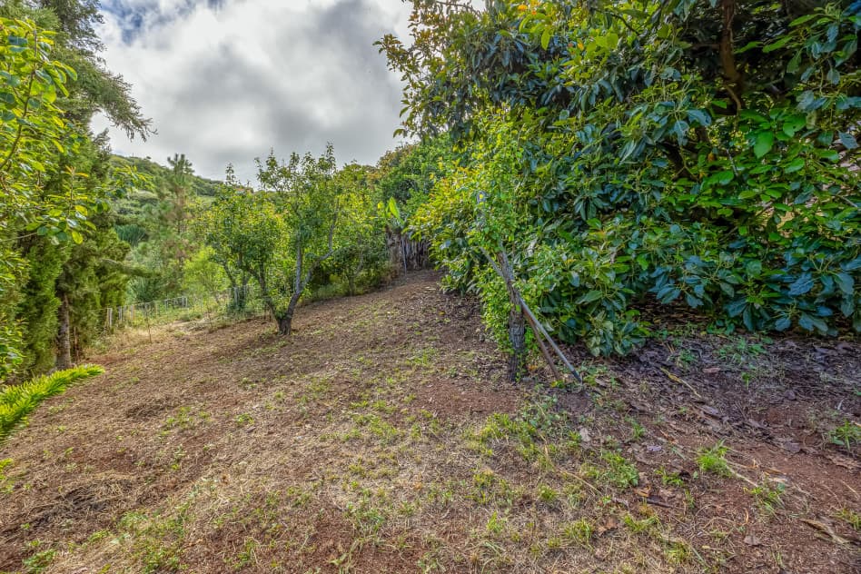 Casa cueva con 1.647 m2 de terreno y seis cuevas